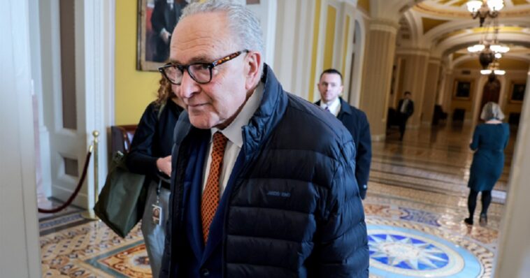 anti-gun-chuck-schumer-defends-second-amendment-in-bizarre-attempt-to-own-trump:-‘shall-not-be-infringed’