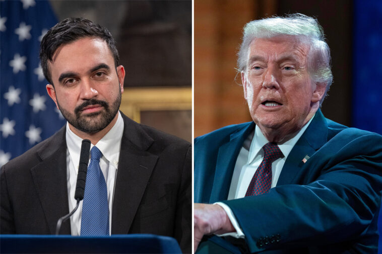 zohran-mamdani-borrows-from-doge-playbook-with-cost-cutting-team-as-nyc-scrambles-to-fill-$12b-budget-gap