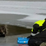 photos-—-‘angel-without-wings’:-arkansas-man-rescues-dog-trapped-in-icy-water