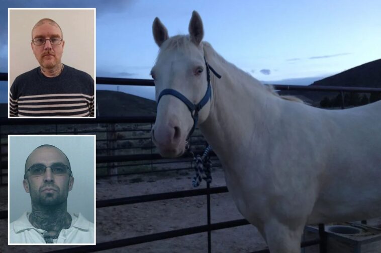 washington-gang-member-sacrificed-horse-in-bizarre-ritual-so-murdered-pal-could-‘ride-it-into-the-valhalla’