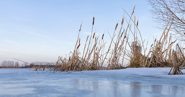 young-hunter-dies-after-falling-through-a-frozen-pond-while-trying-to-save-his-dog