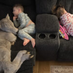 ‘frozen’-newborn-calf-snuggles-with-kids-on-kentucky-family-couch-to-escape-bone-chilling-weather:-photos