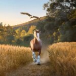 budweiser-unveils-patriotic-new-super-bowl-ad-honoring-‘deep-rooted-american-heritage’