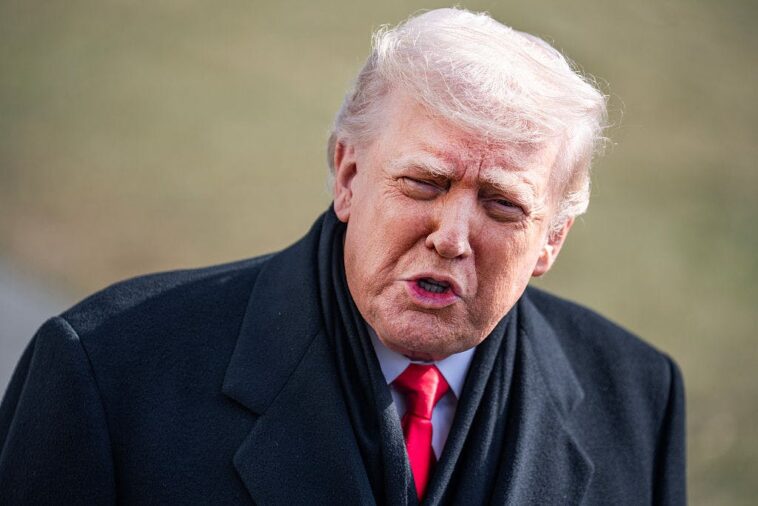 trump:-video-suggests-alex-pretti-may-have-been-an-‘insurrectionist’