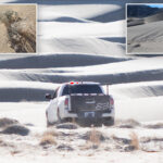death-valley-driver-destroys-rare-desert-plants-while-illegally-off-roading-in-national-park