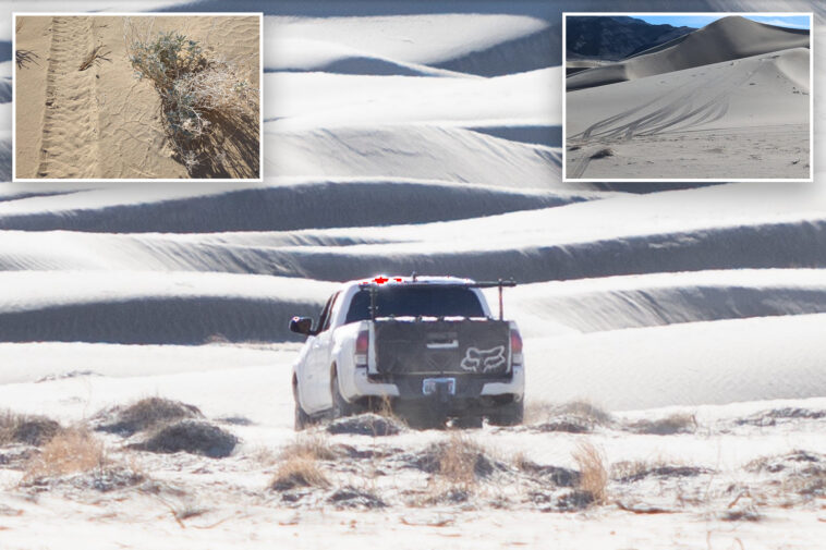 death-valley-driver-destroys-rare-desert-plants-while-illegally-off-roading-in-national-park
