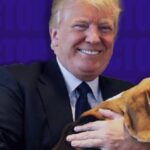 breaking:-nih-set-to-ban-new-funding-for-cruel-dog-and-kitten-labs-following-intense-pressure-from-white-coat-waste