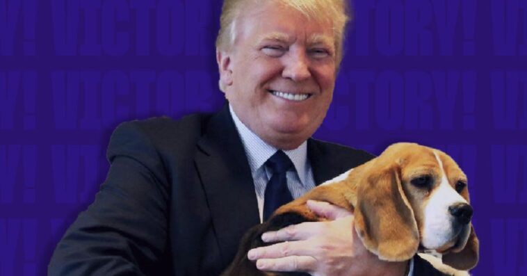 breaking:-nih-set-to-ban-new-funding-for-cruel-dog-and-kitten-labs-following-intense-pressure-from-white-coat-waste