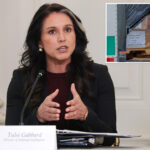 dni-tulsi-gabbard-takes-leading-role-on-2020-election-fraud-investigation