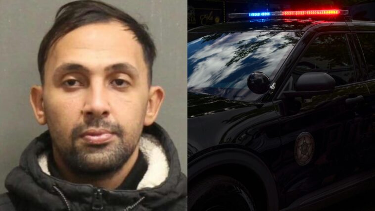 ice-takes-action-against-egyptian-illegal-immigrant-accused-of-raping-nashville-girl