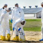 colorado-declares-disaster-emergency-as-presumptive-bird-flu-outbreak-hits-facility-with-1.3m-chickens