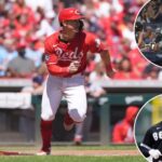 austin-hays-signs-with-white-sox-after-yankees,-mets-interest