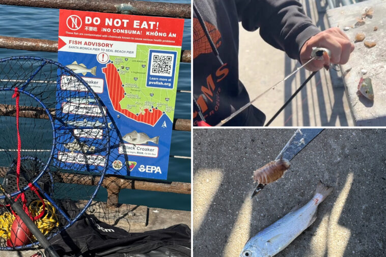tourists-splash-in-the-poop-filled-waters-of-santa-monica-pier,-despite-germs-and-chemicals-at-one-of-cali’s-grossest-beaches