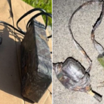 burglars-caught-spying-on-homes-with-hidden-camouflaged-cameras-before-striking-neighborhoods