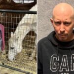 texas-girl,-10,-shot-by-crazed-driver-during-road-rage-incident-while-she-was-in-back-of-parents’-car-on-way-to-school