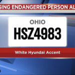 ‘manic-and-delusional’-mom-fearing-attack-on-us-vanishes-with-her-2-kids:-cops
