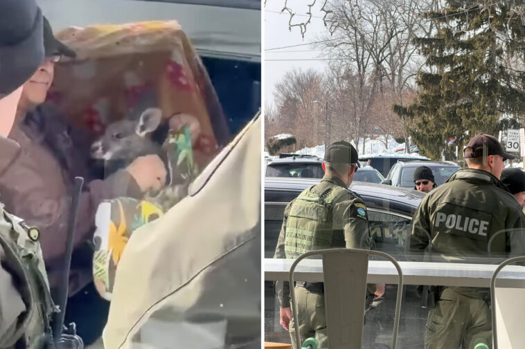 bizarre-encounter-between-feds,-exotic-animal-owner-outside-li-coffee-shop