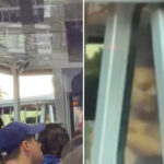 boozed-up-whacko-strips-down-on-universal-studios-tour-as-families-get-unwanted-view-of-hollywood-set