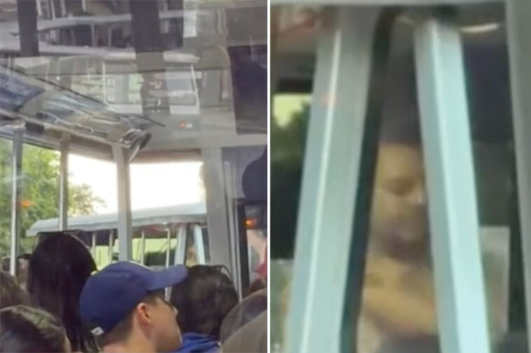 boozed-up-whacko-strips-down-on-universal-studios-tour-as-families-get-unwanted-view-of-hollywood-set