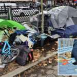 nyc-shop-owners-claim-junkies-shoplifting,-selling-goods-for-drugs:-‘it’s-like-a-parade’