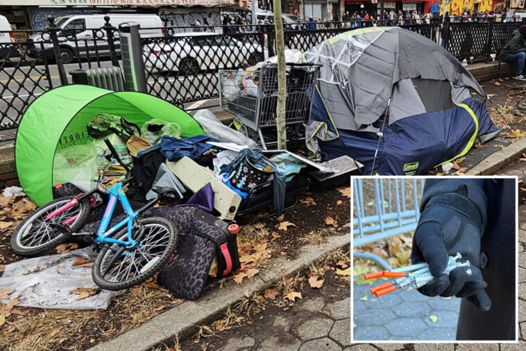 nyc-shop-owners-claim-junkies-shoplifting,-selling-goods-for-drugs:-‘it’s-like-a-parade’