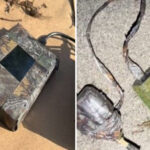 san-jose-on-edge-after-creepy-secret-cameras-found-in-neighborhood