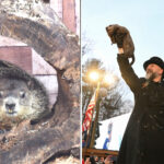 groundhog-day-2026:-here’s-when-and-where-punxsutawney-phil-and-staten-island-chuck-will-make-their-predictions