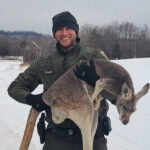photos:-virginia-deputies-rescue-kangaroo-after-it-escaped-hunting-dogs