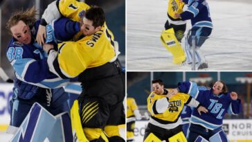 bruins,-lightning-goalies-duke-it-out-during-intense-fight-in-nhl-stadium-series-first