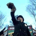 punxsutawney phil-makes-his-groundhog-day-winter-prediction