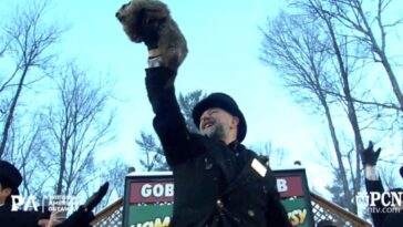 punxsutawney phil-makes-his-groundhog-day-winter-prediction
