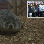 staten-island-chuck’s-groundhog-day-2026-prediction