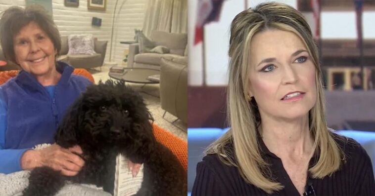 search-underway-for-mother-of-‘today’-anchor-savannah-guthrie,-police-found-‘very-concerning’-crime-scene-at-her-arizona-home,-homicide-detectives-investigating