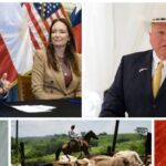 texas-officials-brace-for-screwworm-threat-advancing-from-mexico-toward-the-border