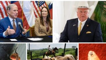 texas-officials-brace-for-screwworm-threat-advancing-from-mexico-toward-the-border