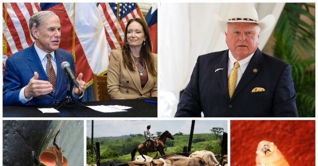 texas-officials-brace-for-screwworm-threat-advancing-from-mexico-toward-the-border