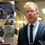 rand-paul-says-trust-in-trump-admin-‘broken’-after-minnesota-shooting-of-alex-pretti:-‘without-question’