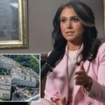 tulsi-gabbard-hit-with-mysterious-whistleblower-complaint-as-office-insists-‘no-wrongdoing’