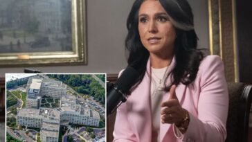 tulsi-gabbard-hit-with-mysterious-whistleblower-complaint-as-office-insists-‘no-wrongdoing’