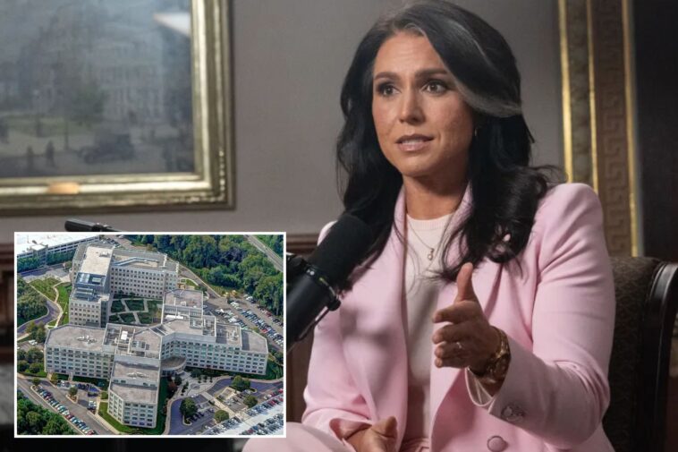 tulsi-gabbard-hit-with-mysterious-whistleblower-complaint-as-office-insists-‘no-wrongdoing’