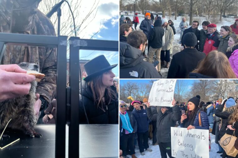 bizarre-nyc-groundhog-day-event-with-curtis-sliwa-draws-hundreds-of-hipsters,-protesters-–-with-a-possible-twist-next-year