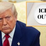 tearful-trump-ends-deportations-after-seeing-celebrities-wearing-‘ice-out’-pins