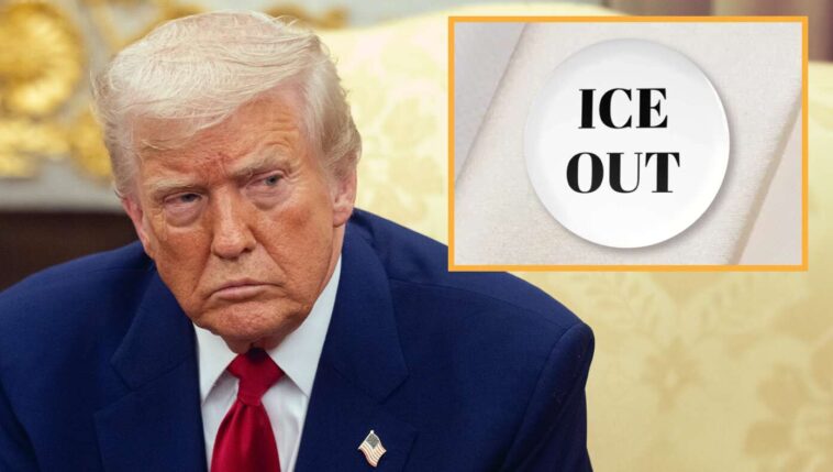 tearful-trump-ends-deportations-after-seeing-celebrities-wearing-‘ice-out’-pins