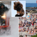 socal-to-see-summer-weather-this-week-as-rest-of-us-whines-about-six-more-weeks-of-winter