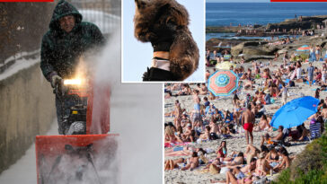 socal-to-see-summer-weather-this-week-as-rest-of-us-whines-about-six-more-weeks-of-winter