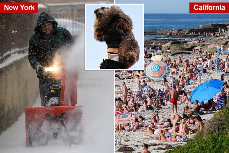 socal-to-see-summer-weather-this-week-as-rest-of-us-whines-about-six-more-weeks-of-winter