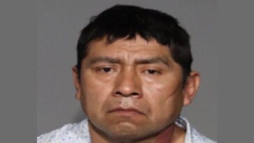 mamdani’s-nyc-releases-illegal-alien-charged-with-rape,-strangulation-–-ice-agents-ensure-he-doesn’t-get-far