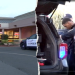 good-samaritan-hijacks-crooks’-getaway-car-and-rams-it-into-jewelry-store-during-smash-and-grab:-police