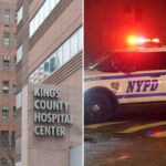 2-security-guards-busted-for-impeding-nypd-cops-from-entering-psych-ward-at-nyc-hospital:-sources