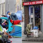 san-francisco-uncovers-nine-secret-drug-and-gambling-dens-disguised-as-convenience-stores